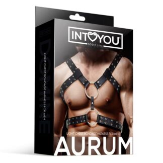 INTOYOU BDSM LINE – Arnés Masculino Aurum (Cuero Vegano)
